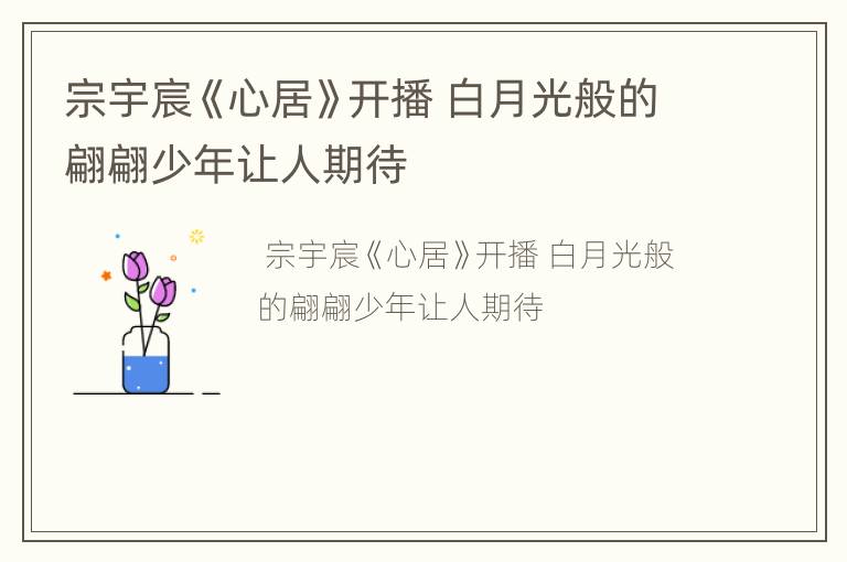 宗宇宸《心居》开播 白月光般的翩翩少年让人期待