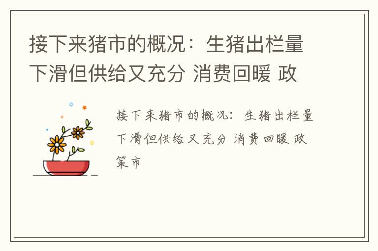 接下来猪市的概况：生猪出栏量下滑但供给又充分 消费回暖 政策市