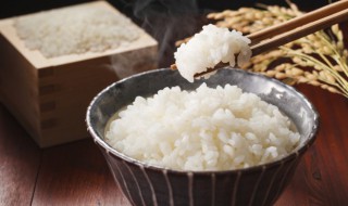 健身可以吃米饭嘛 健身吃米饭行吗