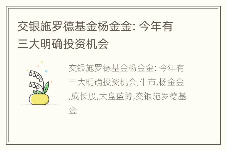 交银施罗德基金杨金金：今年有三大明确投资机会