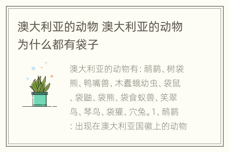 澳大利亚的动物 澳大利亚的动物为什么都有袋子