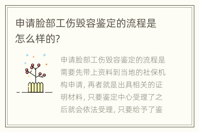 申请脸部工伤毁容鉴定的流程是怎么样的？