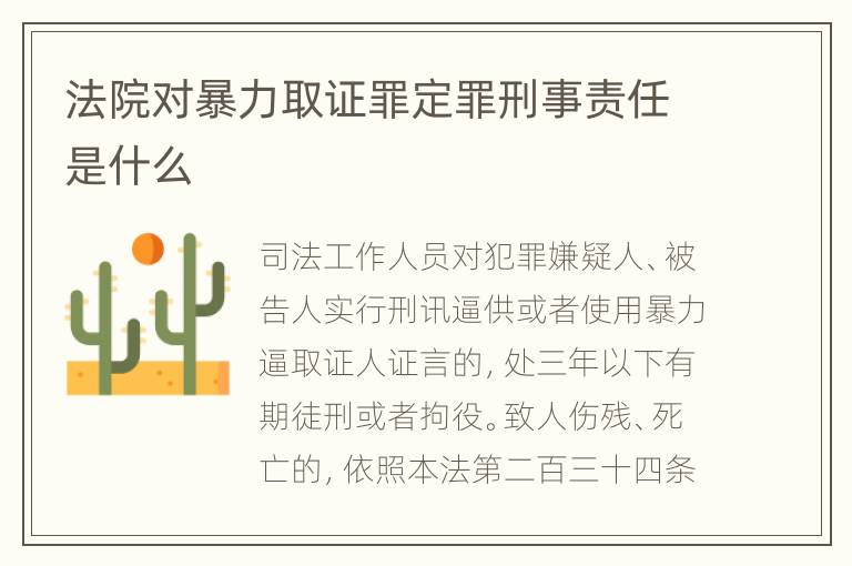 法院对暴力取证罪定罪刑事责任是什么