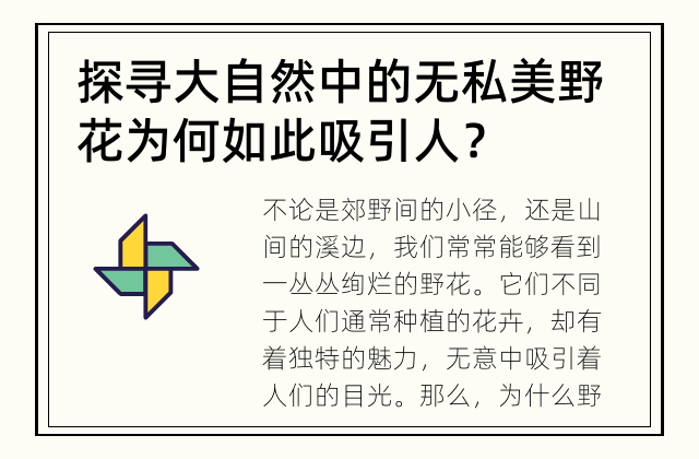 探寻大自然中的无私美 野花为何如此吸引人？