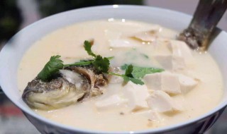 白色的鲜鱼汤怎么做 鲜鱼汤需要什么材料