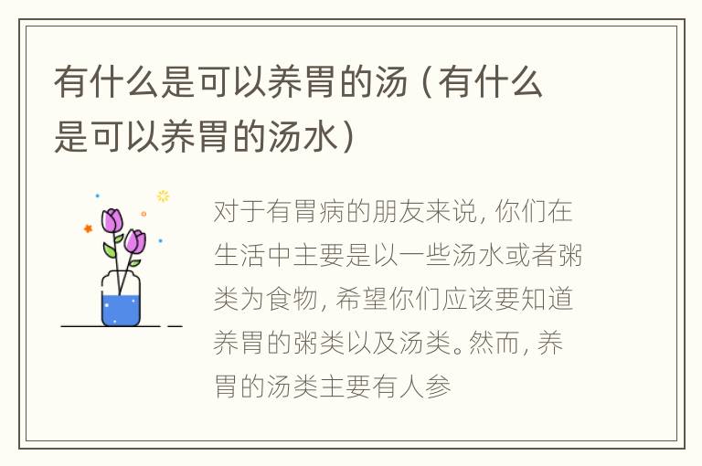 有什么是可以养胃的汤（有什么是可以养胃的汤水）