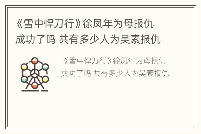 《雪中悍刀行》徐凤年为母报仇成功了吗 共有多少人为吴素报仇