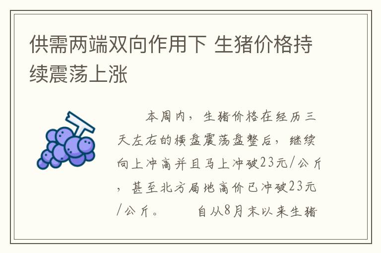 供需两端双向作用下 生猪价格持续震荡上涨