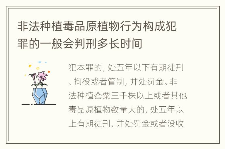 非法种植毒品原植物行为构成犯罪的一般会判刑多长时间