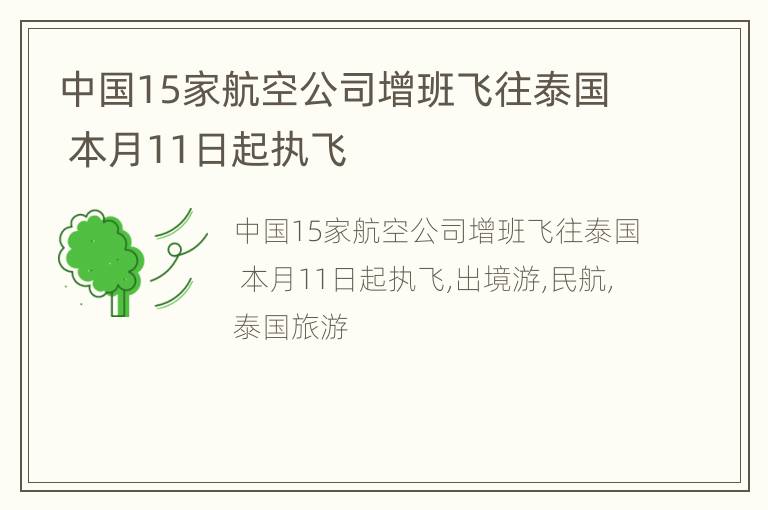 中国15家航空公司增班飞往泰国 本月11日起执飞