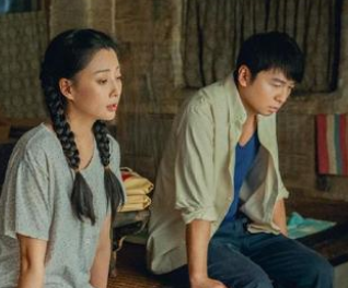 《生命树》是什么剧 殷桃主演的大女主剧集
