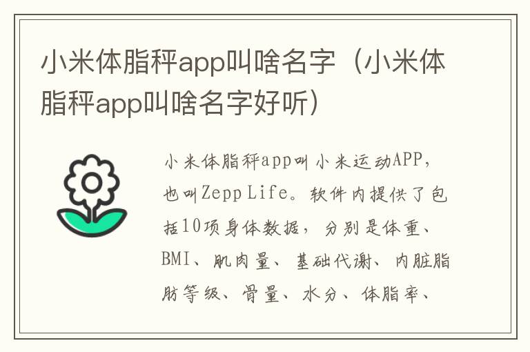 小米体脂秤app叫啥名字（小米体脂秤app叫啥名字好听）