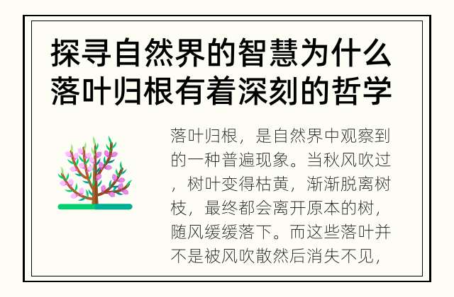 探寻自然界的智慧 为什么落叶归根有着深刻的哲学思考？