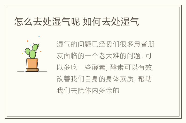 怎么去处湿气呢 如何去处湿气