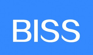 饭圈biss什么意思 饭圈biss出处