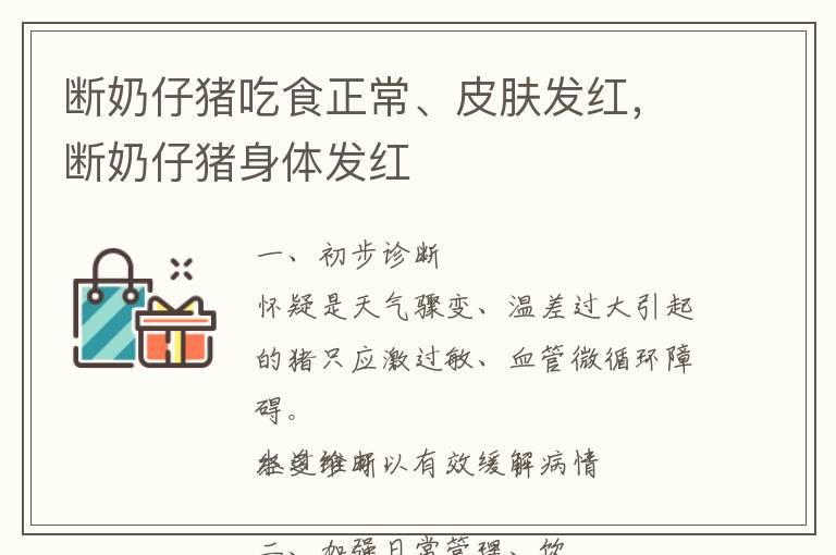 断奶仔猪吃食正常、皮肤发红，断奶仔猪身体发红