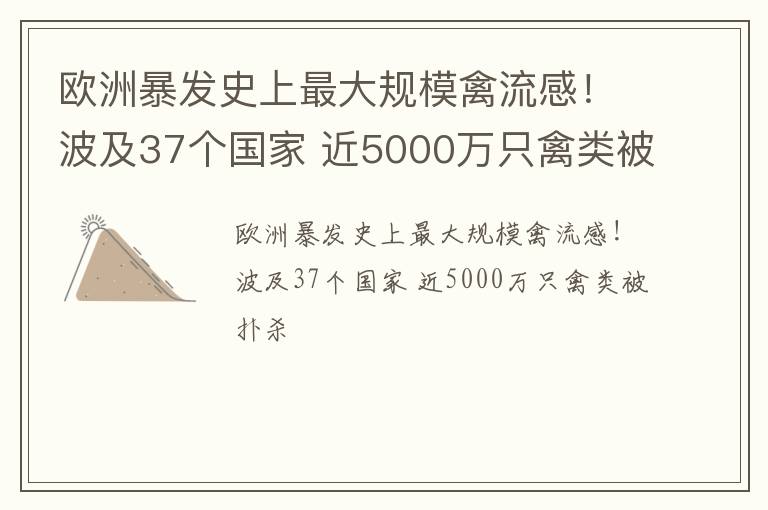 欧洲暴发史上最大规模禽流感！波及37个国家 近5000万只禽类被扑杀