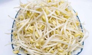 怎么做好吃的豆芽 豆芽的营养价值及功效