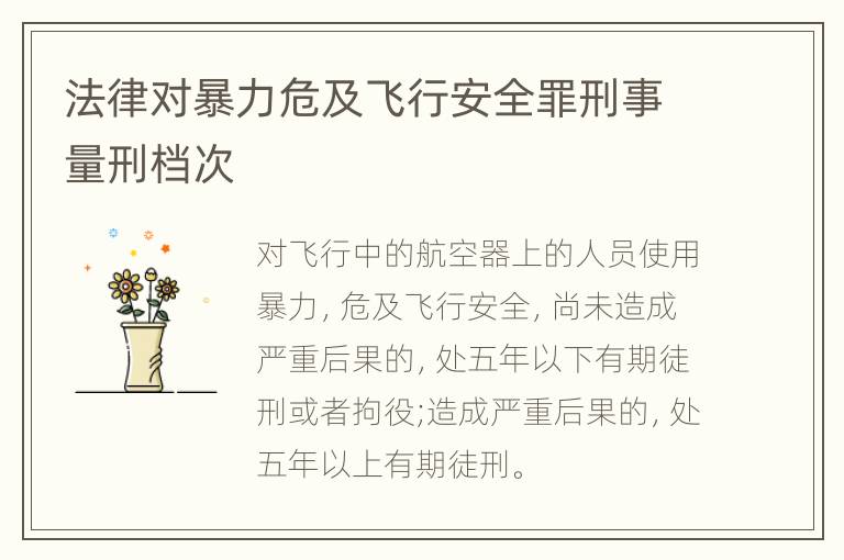 法律对暴力危及飞行安全罪刑事量刑档次