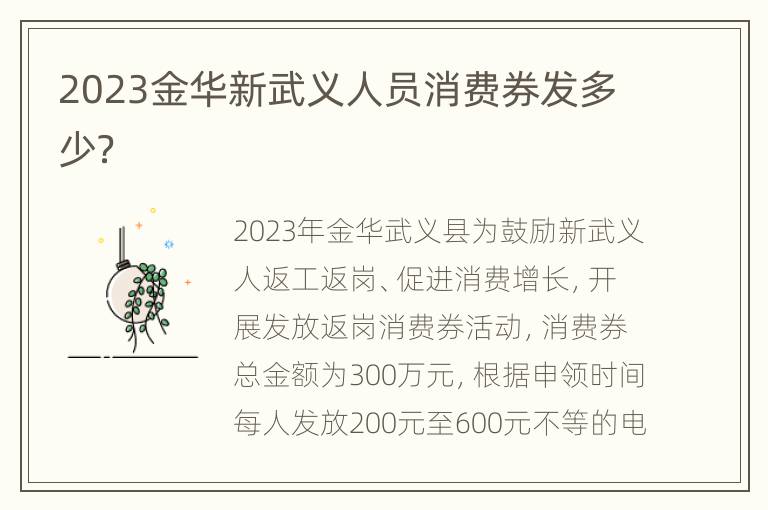 2023金华新武义人员消费券发多少？