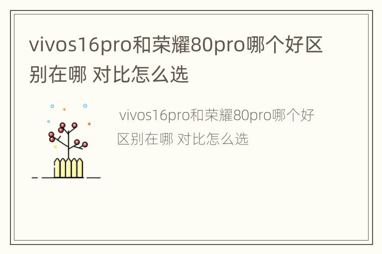 vivos16pro和荣耀80pro哪个好区别在哪 对比怎么选