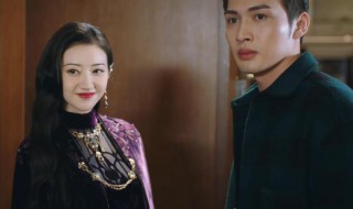 司藤和秦放什么渊源 司藤和秦放的关系