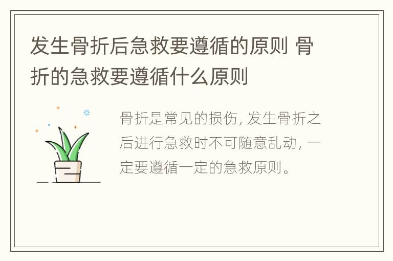 发生骨折后急救要遵循的原则 骨折的急救要遵循什么原则