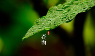 二十四节气谷雨的诗句 关于谷雨古诗有哪些