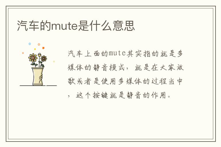 汽车的mute是什么意思