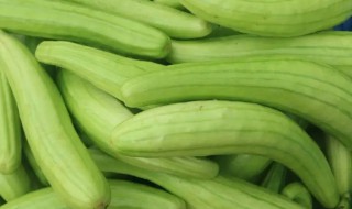 小白瓜的种植方法（小白瓜的种植方法图片）