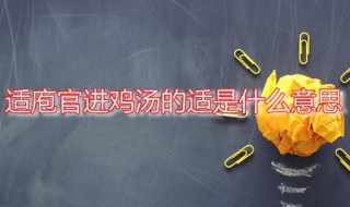 适庖官进鸡汤的适是什么意思 适庖官进鸡汤这个典故出自何处