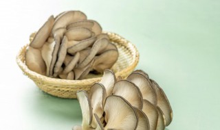平菇上面长了白色的绒绒还能吃吗 可以吃长了白色绒毛的平菇吗