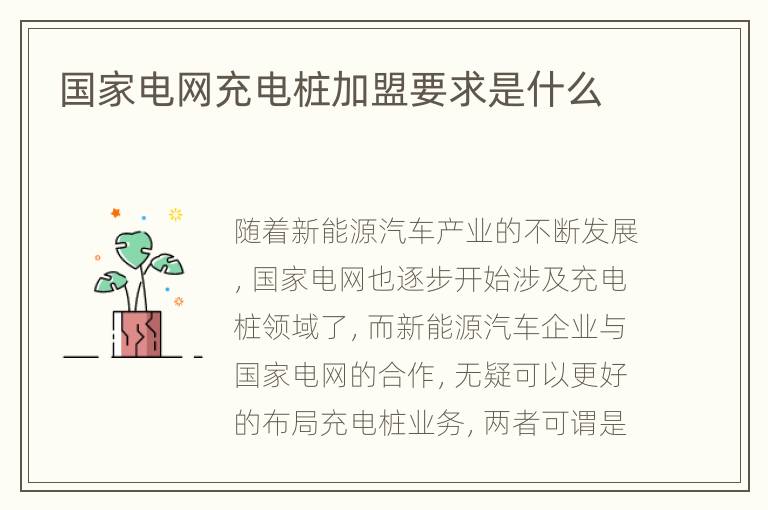 国家电网充电桩加盟要求是什么
