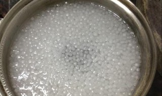 如何煮西米才能熟透 西米如何煮才能熟透
