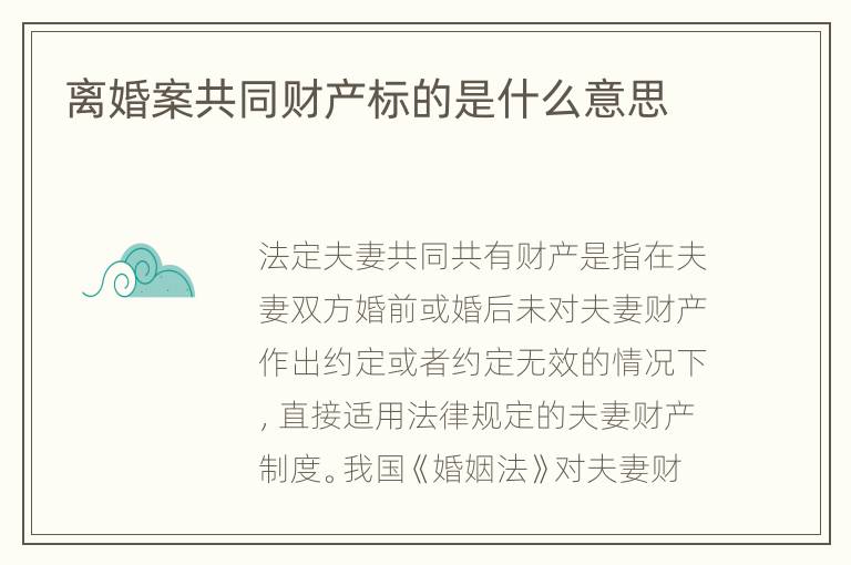 离婚案共同财产标的是什么意思