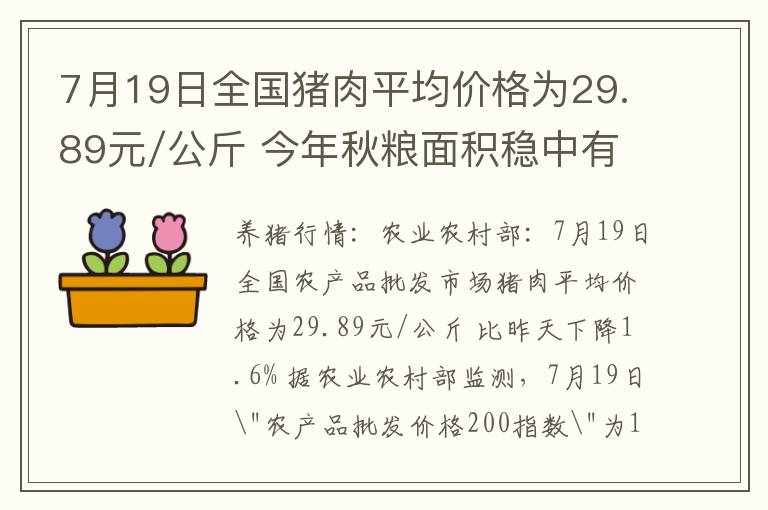 7月19日全国猪肉平均价格为29.89元/公斤 今年秋粮面积稳中有增 202