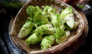 儿菜的功效与作用 儿菜有什么作用