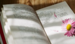 晚安文案元气满满正能量 正能量晚安文案短句