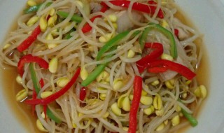 辣炒黄豆芽制作方法 辣炒黄豆芽的家常做法
