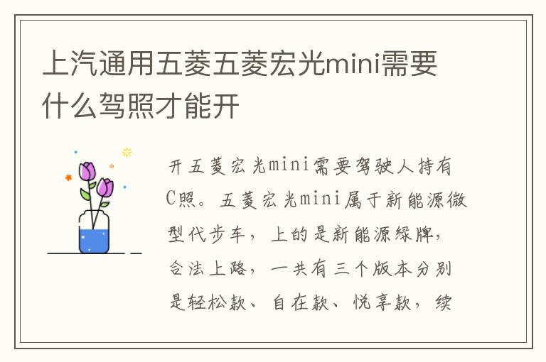 上汽通用五菱五菱宏光mini需要什么驾照才能开