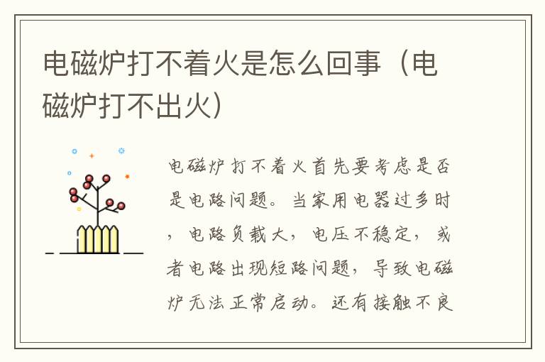 电磁炉打不着火是怎么回事（电磁炉打不出火）