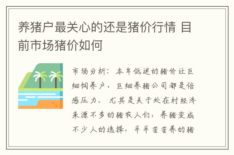 养猪户最关心的还是猪价行情 目前市场猪价如何