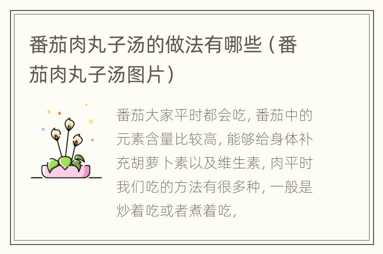 番茄肉丸子汤的做法有哪些（番茄肉丸子汤图片）