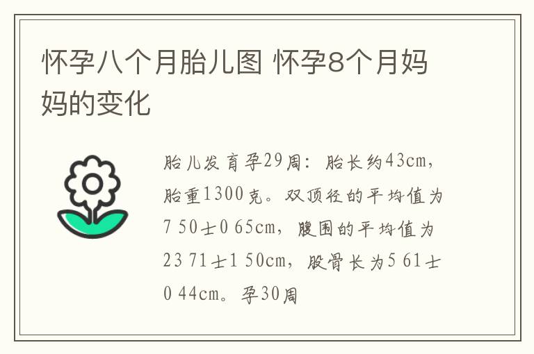 怀孕八个月胎儿图 怀孕8个月妈妈的变化