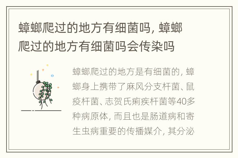 蟑螂爬过的地方有细菌吗，蟑螂爬过的地方有细菌吗会传染吗