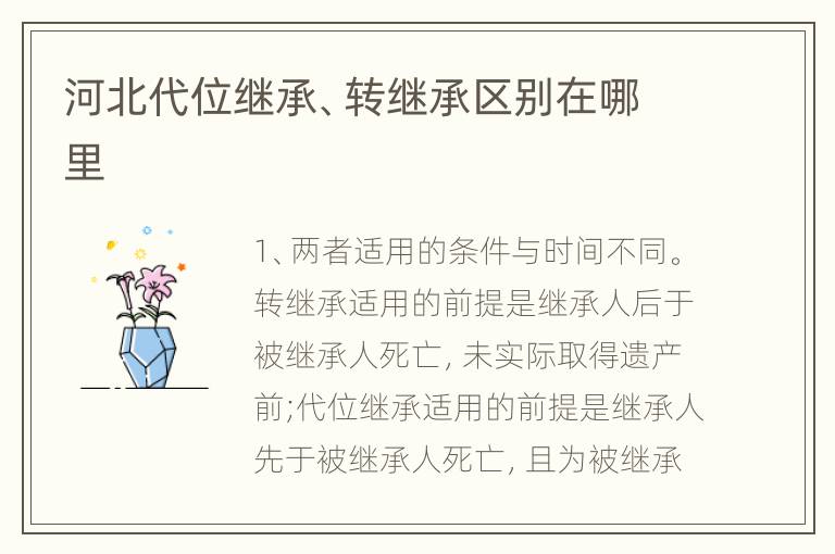 河北代位继承、转继承区别在哪里