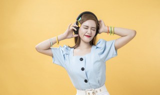 野子歌词 野子的歌曲简介