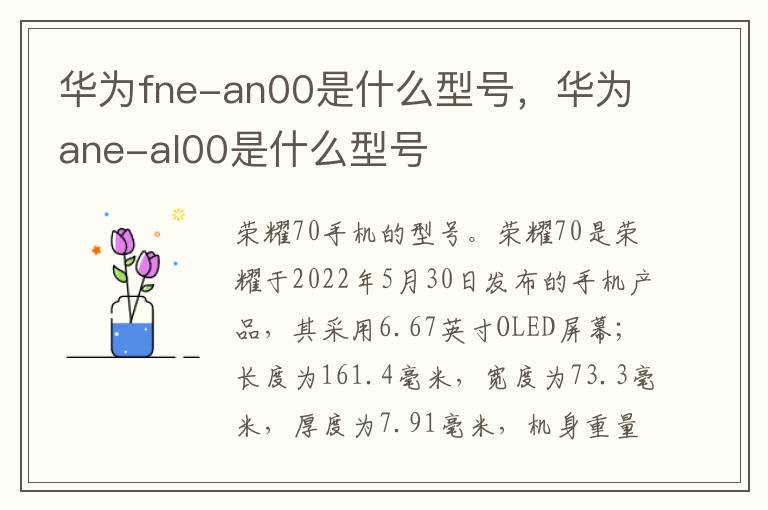华为fne-an00是什么型号，华为ane-al00是什么型号
