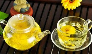 丹参菊花泡水的功效 丹参菊花泡水的功效有哪些