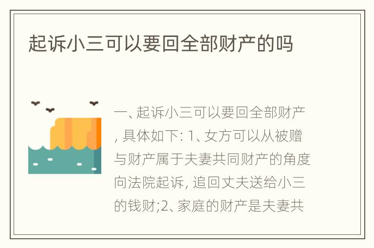起诉小三可以要回全部财产的吗
